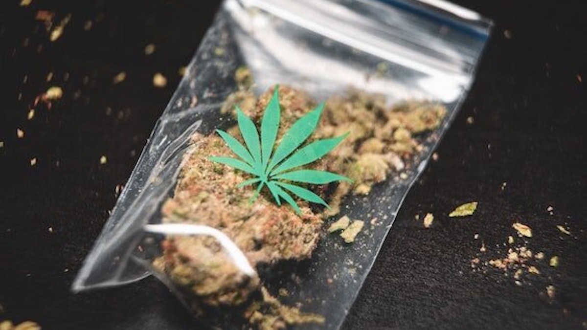 Partnership Could Cut 150,000 Tons Waste | Cannabis Equipment News