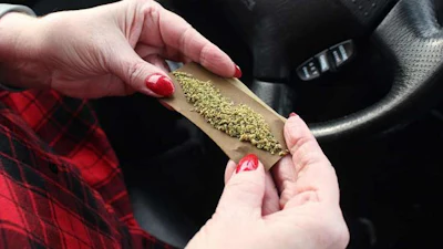 Pot