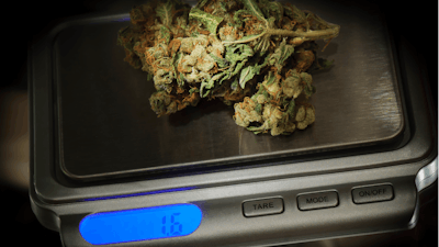 Cannabis