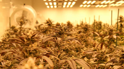 22Red's new 30,000-sq-ft facility is located in West Phoenix.