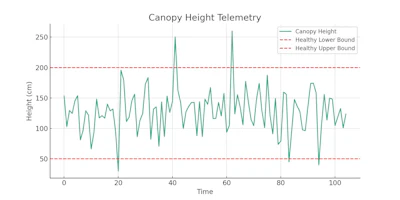 Canopy Height