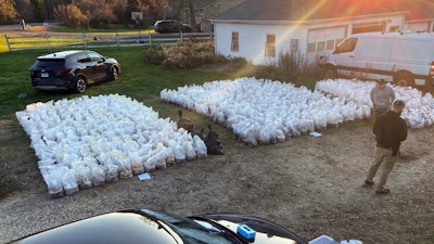 This photo, released by the Connecticut State Police, shows bags of psychedelic mushrooms removed from a home in Burlington, CT, Thursday, Nov. 2, 2023.