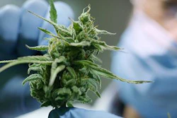 Low Res Cannabis Related Disorders Release