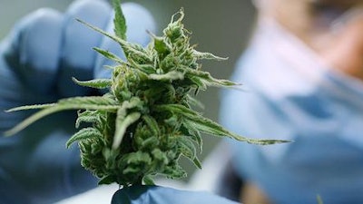 Low Res Cannabis Related Disorders Release