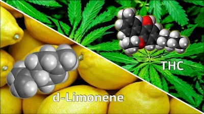 Low Res Michael April 10 Limonene And Cannabis Graphic (public Domain Images) (002)