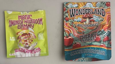 Low Res Mushroom Gummies
