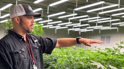 Rob Levy, chief operating officer at CRC of Alabama, discusses the company's cultivation of marijuana plants in Pike County, Alabama on July 23, 2024.