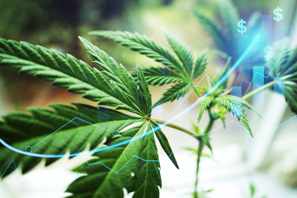 cannabis uk online