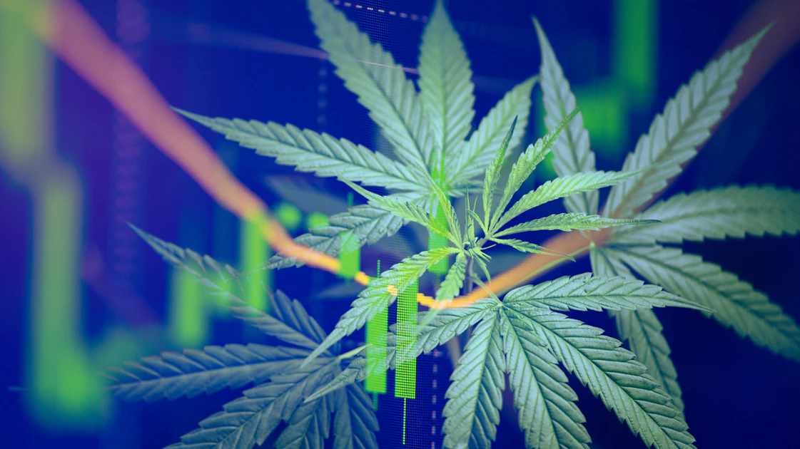 Canopy USA Closes Acquisition of Acreage | Cannabis Equipment News
