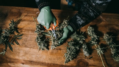 Ilgm Home Grow Lifestyle 2