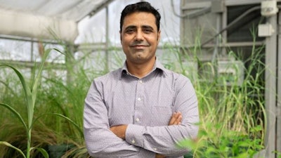 Abdul Latif Khan, assistant professor of biotechnology at the University of Houston Cullen College of Engineering Technology Division, examined the communities of microbiomes living in and around the roots (rhizosphere) and on the leaves (phyllosphere) of four types of hemp plants.