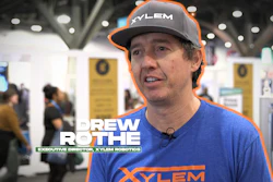 Xylem