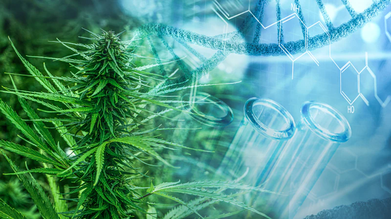 New Jersey Cannabis Regulators Adopt New Testing Guidelines | Cannabis ...
