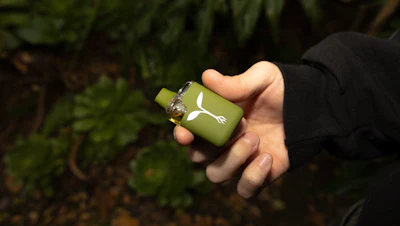 Ls Sprout In Hand