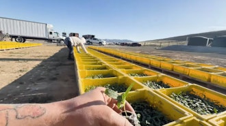 Screenshot 2025 04 17 At 1 56 46 Pm