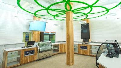 Image1