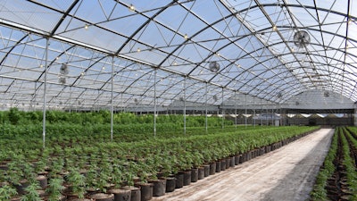 I Stock 1203848612