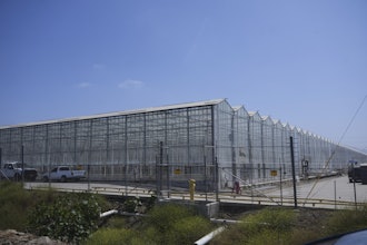 The exterior of Glass House Farms is shown, a day after an immigration raid on the facility, on Friday, July 11, 2025, in Camarillo, Calif.