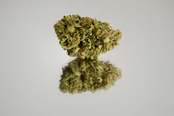 I Stock 2170482425