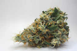 I Stock 2170791091