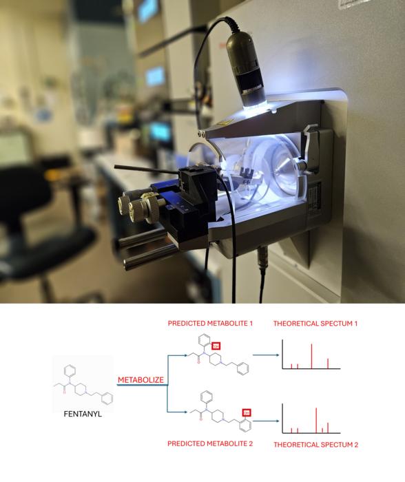 Mass spectrometer instruments (top image) can help detect known, illicit drugs in human urine. For new psychoactive substances, a computer-predicted database provides theoretical mass spectra (bottom image) that could help detect these designer drugs and their metabolites in urine samples.