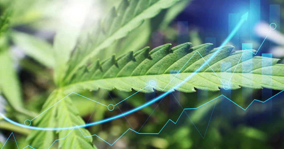 Pelorus Launches $1B Cannabis Investment Fund to Cash in on ...