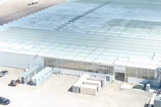 True Harmony Company