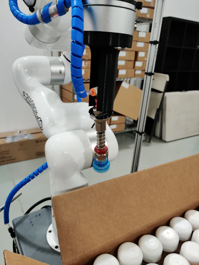 Sorting Robotics Robotic Arm