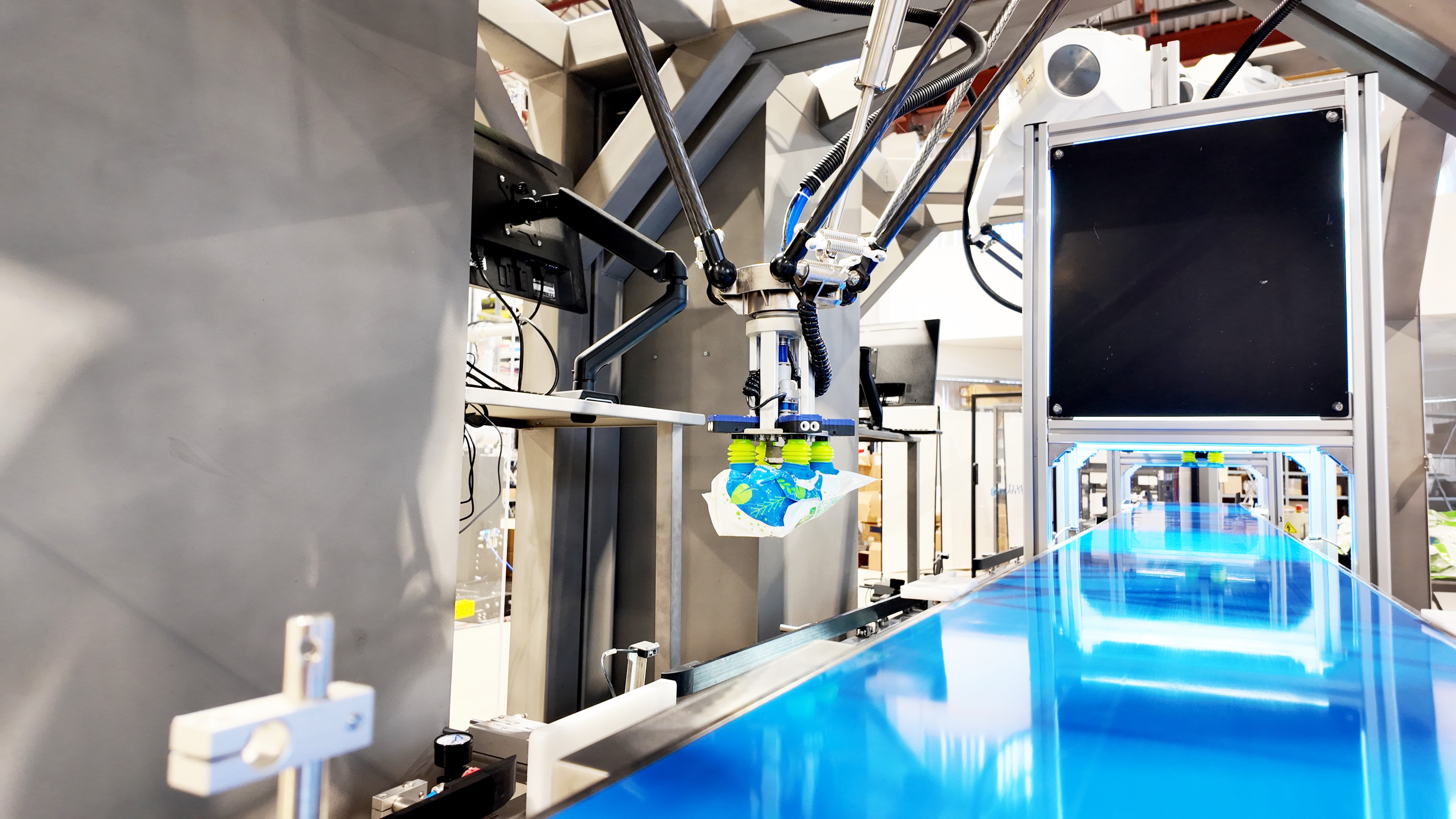 Leafy Pack Robotics Case Packing Line