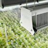 LED grow light mounted over green plant cultivation area with white support grid