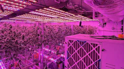 20251118 Hayward Cultivation Site6