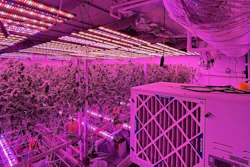 20251118 Hayward Cultivation Site6