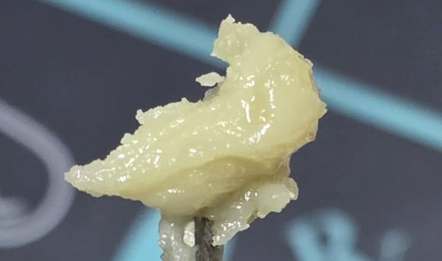 Screenshot 2025 12 23 At 11 14 13 Am