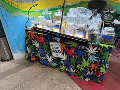 Photo from the alleged unlicensed cannabis operation at the Attick in Tacoma, Washington.