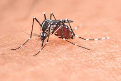 Behold, a mosquito.