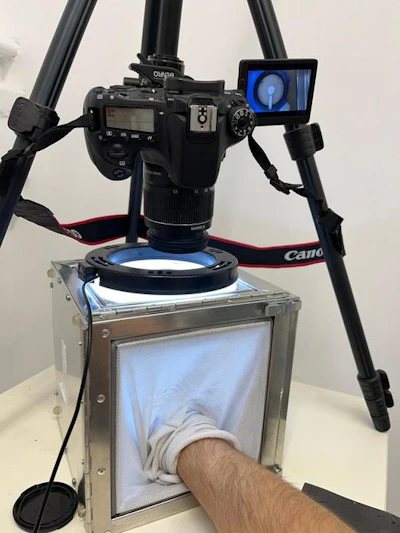 Documentation of female mosquito behavior during exposure to a human hand while testing the repellent mechanism of borneol.