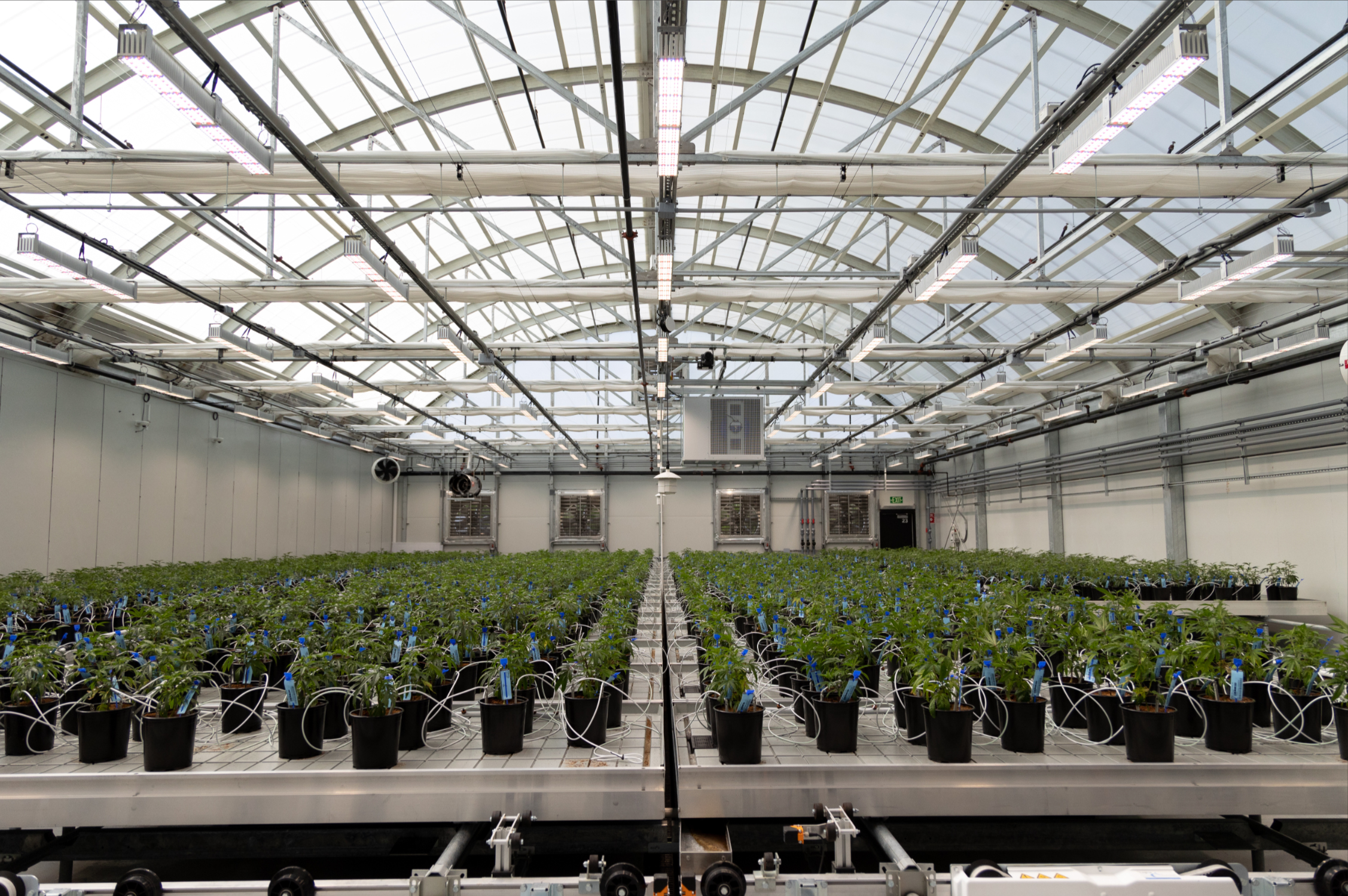 Canapa Valley Farms Greenhouse