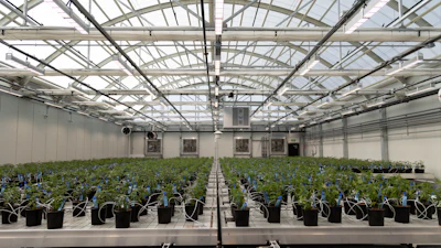 Canapa Valley Farms Greenhouse