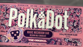 PolkaDot-branded chocolate bars were marketed as non-hallucinogenic 'mushroom blends,' but lab tests showed otherwise.