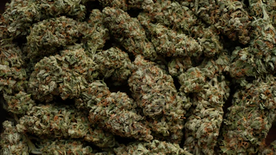 Cannabis Cartel