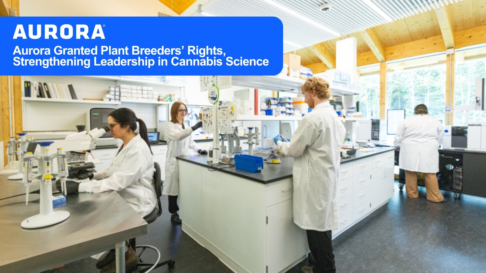 Aurora Cannabis Inc Aurora Granted Plant Breeders Rights Stre