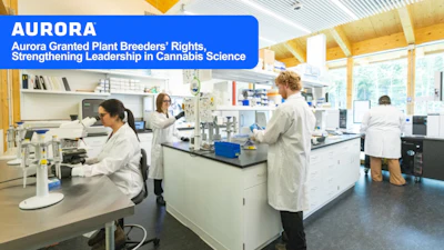 Aurora Cannabis Inc Aurora Granted Plant Breeders Rights Stre