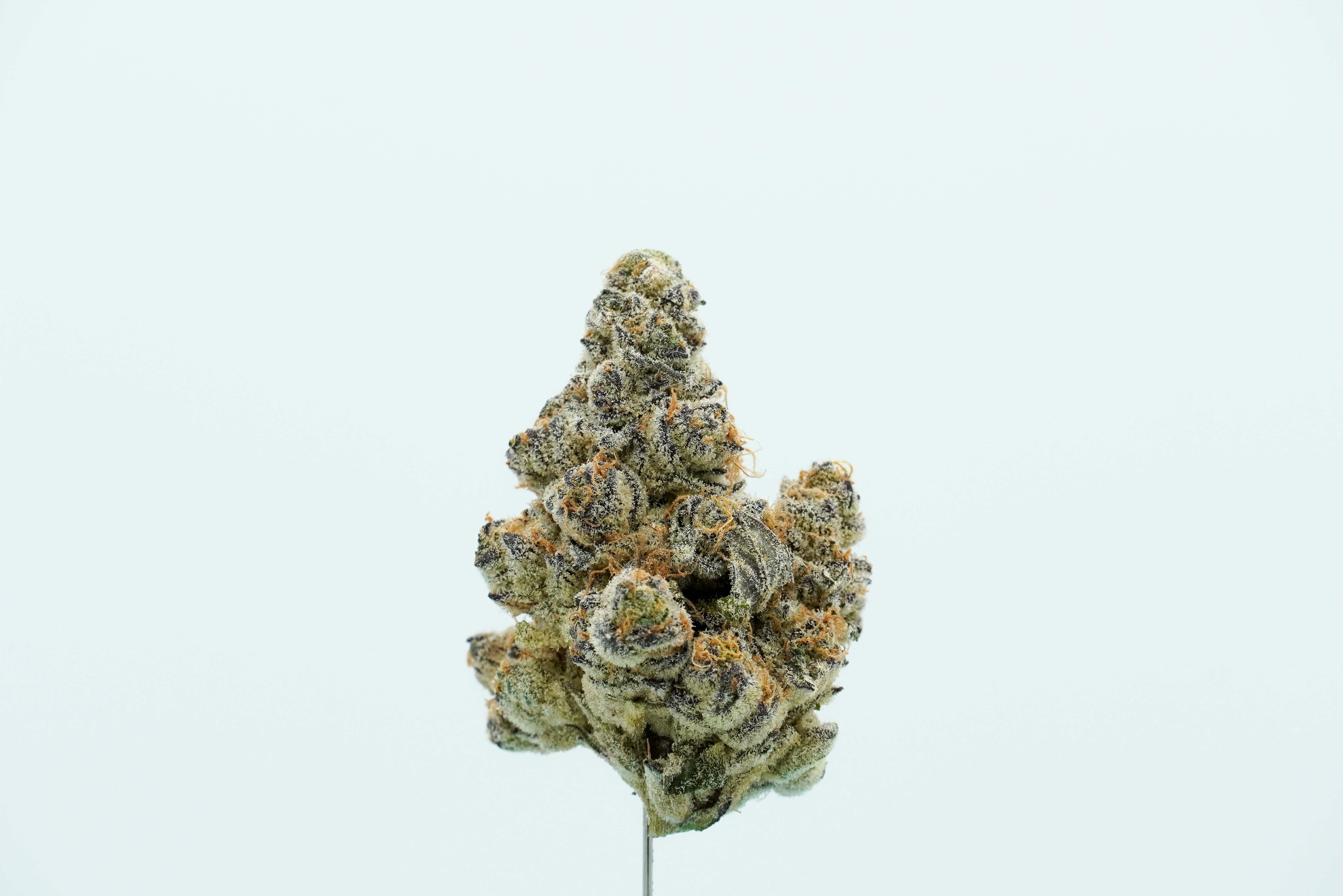 Frost'd Flakes Single Bud