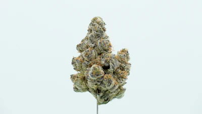 Frost'd Flakes Single Bud