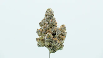 Frost'd Flakes Single Bud