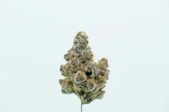 Frost'd Flakes Single Bud