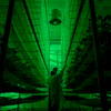 Low Res Jure 36