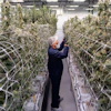 Boston cannabis company Happy Valley struggled to use QuickBooks and disconnected systems, including spreadsheets, which it used to track inventory, production and financial transactions. This siloed approach caused inefficiencies, manual errors and limited visibility into its true costs.