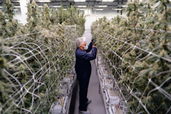 Boston cannabis company Happy Valley struggled to use QuickBooks and disconnected systems, including spreadsheets, which it used to track inventory, production and financial transactions. This siloed approach caused inefficiencies, manual errors and limited visibility into its true costs.