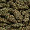 I Stock 2213978716